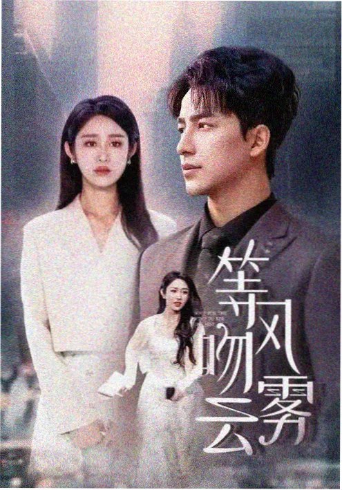 法官的沉默 热播电视剧全集