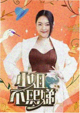 一起去露营吧 综艺免费观看